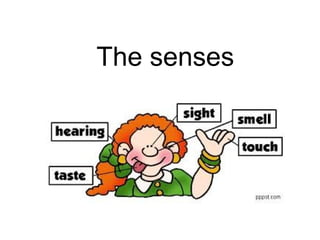 The senses
 