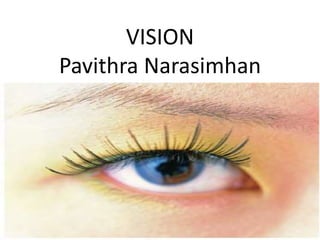 VISION
Pavithra Narasimhan
 
