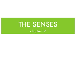 THE SENSES
   chapter 19
 