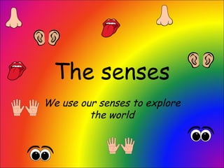 The senses 
We use our senses to explore 
the world 
 