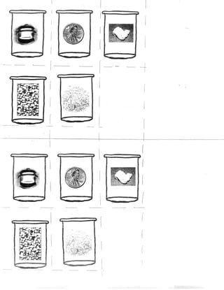 Senses Lab Book | PDF
