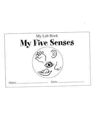 Senses Lab Book | PDF
