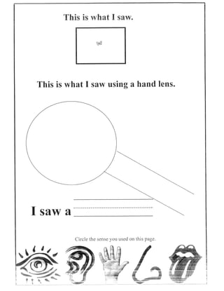 Senses Lab Book | PDF