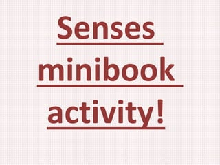 Senses
minibook
activity!
 