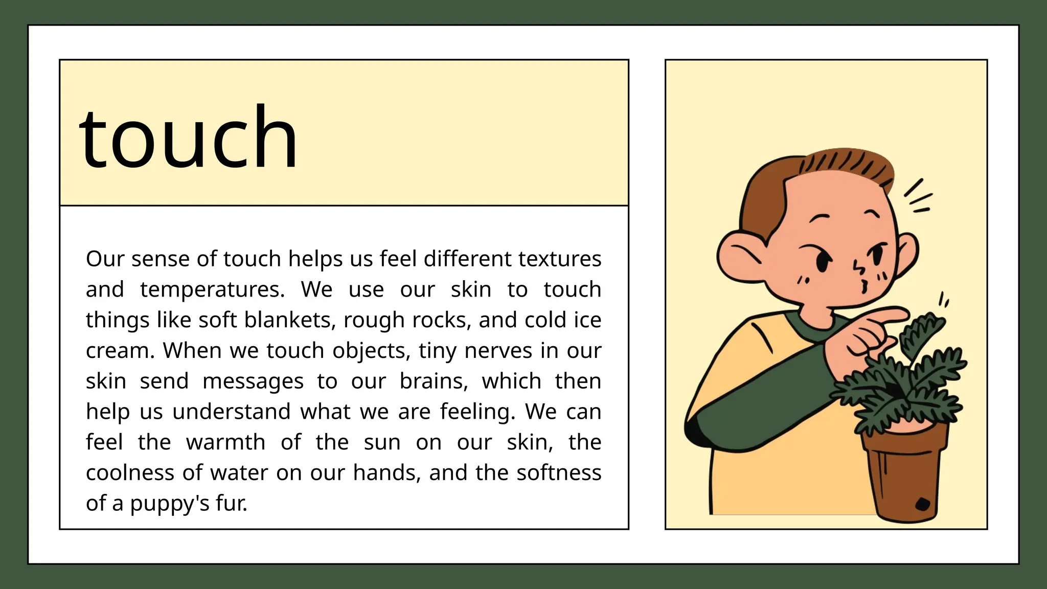touch
Our sense of touch helps us feel different textures
and temperatures. We use our skin to touch
things like soft blankets, rough rocks, and cold ice
cream. When we touch objects, tiny nerves in our
skin send messages to our brains, which then
help us understand what we are feeling. We can
feel the warmth of the sun on our skin, the
coolness of water on our hands, and the softness
of a puppy's fur.
 