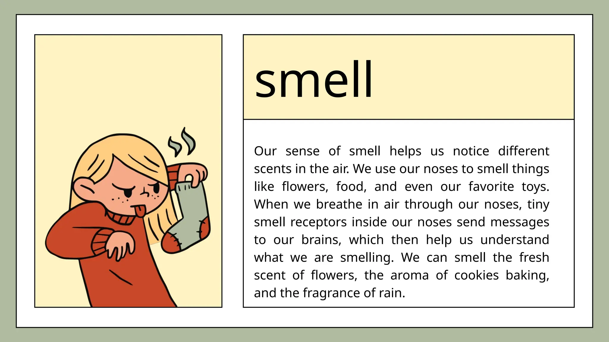 smell
Our sense of smell helps us notice different
scents in the air. We use our noses to smell things
like flowers, food, and even our favorite toys.
When we breathe in air through our noses, tiny
smell receptors inside our noses send messages
to our brains, which then help us understand
what we are smelling. We can smell the fresh
scent of flowers, the aroma of cookies baking,
and the fragrance of rain.
 