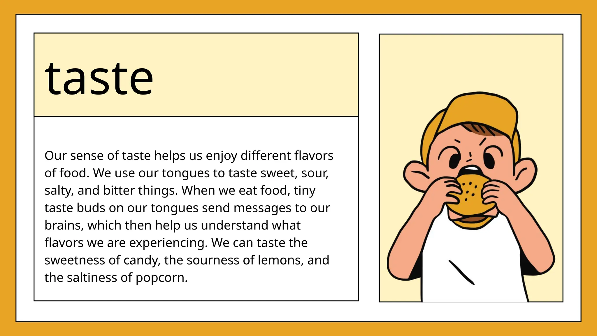 taste
Our sense of taste helps us enjoy different flavors
of food. We use our tongues to taste sweet, sour,
salty, and bitter things. When we eat food, tiny
taste buds on our tongues send messages to our
brains, which then help us understand what
flavors we are experiencing. We can taste the
sweetness of candy, the sourness of lemons, and
the saltiness of popcorn.
 