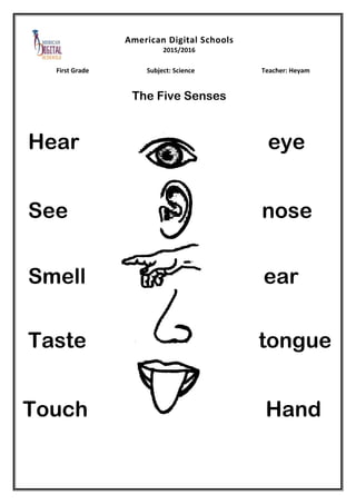 senses worksheet