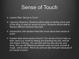 sensory organs