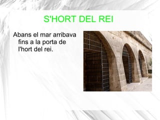 S'HORT DEL REI Abans el mar arribava fins a la porta de l'hort del rei.  