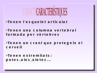 -Tenen l'esquelet articulat -Tenen una columna vertebral formada per vèrtebres -Tenen un crani que protegeix el cervell -Tenen extremitats: potes,ales,aletes...  CARACTERÍSTIQUES 