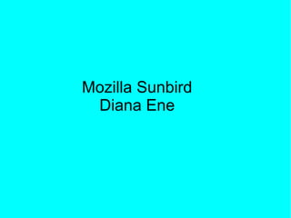 Mozilla Sunbird
Diana Ene
 