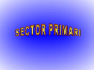 Sector Primari