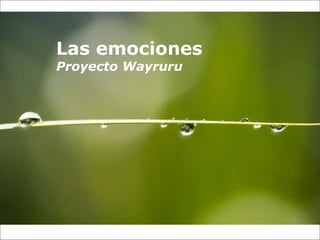 Las emociones Proyecto Wayruru 