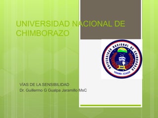 UNIVERSIDAD NACIONAL DE
CHIMBORAZO
VÍAS DE LA SENSIBILIDAD
Dr. Guillermo G Gualpa Jaramillo MsC
 