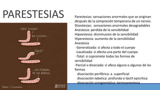 PARESTESIAS Parestesias: sensaciones anormales que se originan
después de la compresión temporaria de un nervio.
Disestesias: sensaciones anormales desagradables
Anestesia: perdida de la sensibilidad
Hipoestesia: disnimusion de la sensibilidad
Hiperestesia: aumento de la sensibilidad
Anestesia
-Generalizada: si afecta a todo el cuerpo
-Localizada: si afecta una parte del cuerpo
-Total: si copromete todas las formas de
sensibilidad
-Parcial o disociada: si afeca alguna o algunas de las
formas
disociación periférica: a. superficial
disociación tabetica: profunda o táctil epicritica
disociación siringomielica: termoanestesia
 