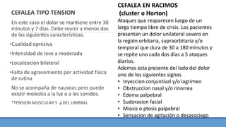 CEFALEA TIPO TENSION
En este caso el dolor se mantiene entre 30
minutos y 7 días. Debe reunir a menos dos
de las siguientes características.
•Cualidad opresiva
•Intensidad de leve a moderada
•Localizacion bilateral
•Falta de agravamiento por actividad física
de rutina
No se acompaña de nauseas pero puede
existir molestia a la luz o a los sonidos.
*TENSION MUSCULAR Y ↓DEL UMBRAL
CEFALEA EN RACIMOS
(cluster o Horton)
Ataques que reaparecen luego de un
largo tiempo libre de crisis. Los pacientes
presentan un dolor unilateral severo en
la región orbitaria, supraorbitaria y/o
temporal que dura de 30 a 180 minutos y
se repite uno cada dos días a 5 ataques
diarios.
Ademas esta presente del lado del dolor
uno de los siguientes signos
• Inyeccion conjuntival y/o lagrimeo
• Obstruccion nasal y/o rinorrea
• Edema palpebral
• Sudoracion facial
• Miosis o ptosis palpebral
• Sensacion de agitación o desasociego
 