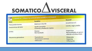 SOMATICO∆VISCERAL
 