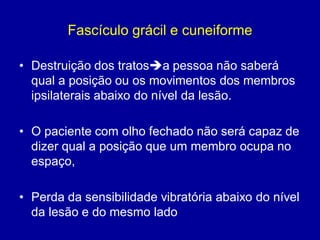 Fascículo grácil e cuneiforme
• Destruição dos tratosa pessoa não saberá
qual a posição ou os movimentos dos membros
ipsilaterais abaixo do nível da lesão.
• O paciente com olho fechado não será capaz de
dizer qual a posição que um membro ocupa no
espaço,
• Perda da sensibilidade vibratória abaixo do nível
da lesão e do mesmo lado
 