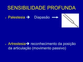 SENSIBILIDADE PROFUNDA
 Palestesia  Diapasão
 Artrestesia reconhecimento da posição
da articulação (movimento passivo)
 