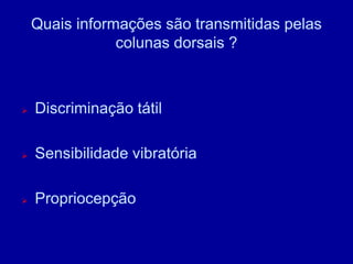 Quais informações são transmitidas pelas
colunas dorsais ?
 Discriminação tátil
 Sensibilidade vibratória
 Propriocepção
 