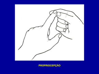 PROPRIOCEPÇÃO
 