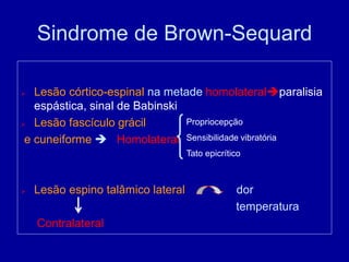 Sindrome de Brown-Sequard
 Lesão córtico-espinal na metade homolateralparalisia
espástica, sinal de Babinski
 Lesão fascículo grácil
e cuneiforme  Homolateral
 Lesão espino talâmico lateral dor
temperatura
Contralateral
Propriocepção
Sensibilidade vibratória
Tato epicrítico
 
