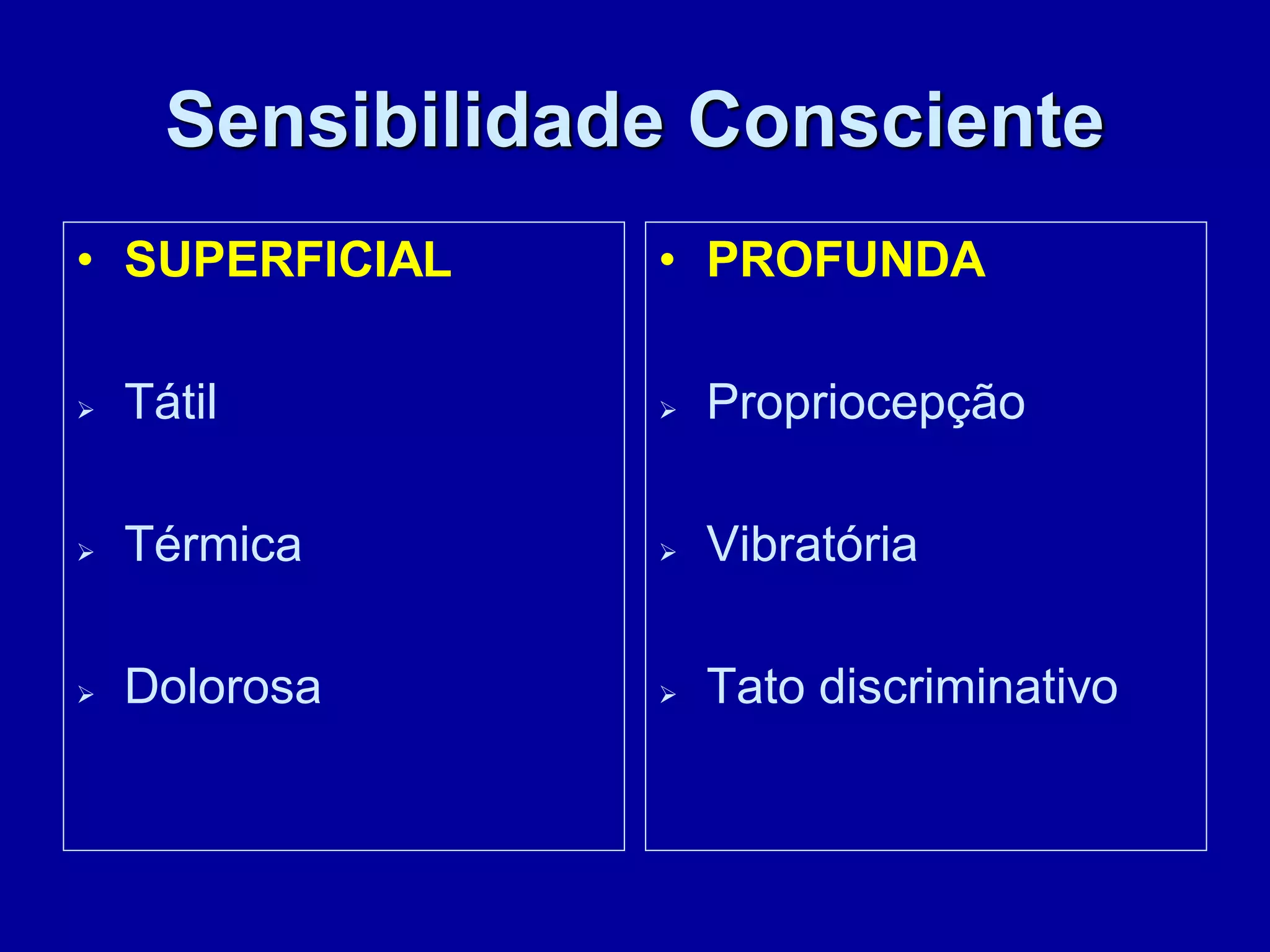 Sensibilidade 16 | PDF