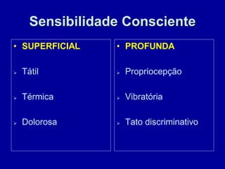 Sensibilidade Consciente
• SUPERFICIAL
 Tátil
 Térmica
 Dolorosa
• PROFUNDA
 Propriocepção
 Vibratória
 Tato discriminativo
 