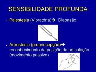 SENSIBILIDADE PROFUNDA
 Palestesia (Vibratória) Diapasão
 Artrestesia (propriocepção)
reconhecimento da posição da articulação
(movimento passivo)
 