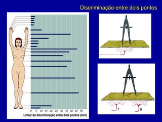 Discriminação entre dois pontos
 