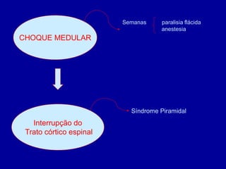 CHOQUE MEDULAR
Interrupção do
Trato córtico espinal
Semanas paralisia flácida
anestesia
Síndrome Piramidal
 