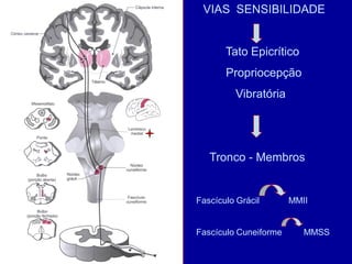 VIAS SENSIBILIDADE
Tato Epicrítico
Propriocepção
Vibratória
Tronco - Membros
Fascículo Grácil MMII
Fascículo Cuneiforme MMSS
 