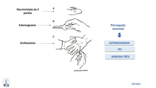 MFMM
ASTEREOGNOSIA
AGNOSIA TÁTIL
OU
Percepção
anormal
Discriminição de 2
pontos
Estereognosia
Grafoestesia
 