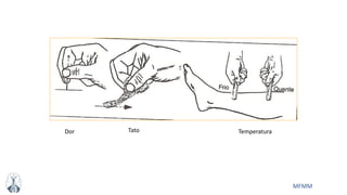 MFMM
Dor Tato Temperatura
 