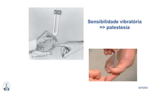 MFMM
Sensibilidade vibratória
=> palestesia
 