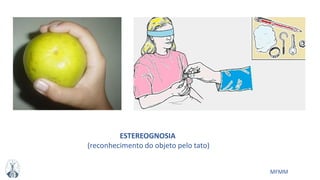 MFMM
ESTEREOGNOSIA
(reconhecimento do objeto pelo tato)
 