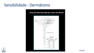 MFMM
Sensibilidade - Dermátomo
 