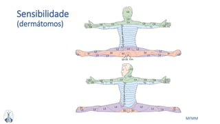 MFMM
Sensibilidade
(dermátomos)
 
