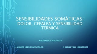 SENSIBILIDADES SOMÁTICAS:
DOLOR, CEFALEA Y SENSIBILIDAD
TÉRMICA
ASIGNATURA: FISIOLOGÍA
L. ANDREA HERNÁNDEZ COBOS. E. ALEXIS VILLA HERNÁNDEZ
 