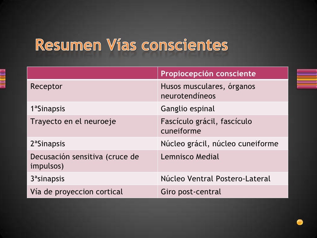 Sensibilidad propioceptiva