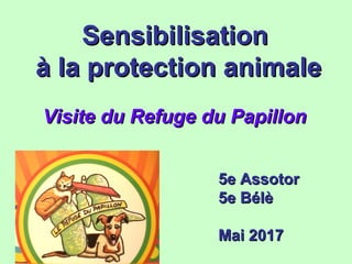 SensibilisationSensibilisation
à la protection animaleà la protection animale
Visite du Refuge du PapillonVisite du Refuge du Papillon
5e Assotor5e Assotor
5e Bélè5e Bélè
Mai 2017Mai 2017
 