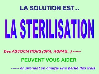 LA SOLUTION EST...LA SOLUTION EST...
Des ASSOCIATIONS (SPA, AGPAG...) ------
PEUVENT VOUS AIDER
------ en prenant en charge une partie des frais
 