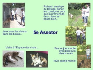 5e Assotor5e Assotor
Richard, employé
du Refuge, donne
les consignes pour
que la promenade
des chiens se
passe bien...
Pas toujours facile
avec plusieurs
chiens mais...
ravis quand même!
Jeux avec les chiens
dans les boxes...
Visite à l’Espace des chats...
 