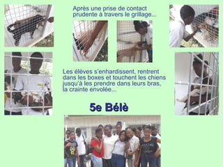 Après une prise de contact
prudente à travers le grillage...
Les élèves s’enhardissent, rentrent
dans les boxes et touchent les chiens
jusqu’à les prendre dans leurs bras,
la crainte envolée...
5e Bélè5e Bélè
 