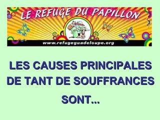 LES CAUSES PRINCIPALESLES CAUSES PRINCIPALES
DE TANT DE SOUFFRANCESDE TANT DE SOUFFRANCES
SONT...SONT...
 