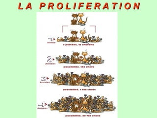 L A P R O L I F E R A T I O NL A P R O L I F E R A T I O N
 