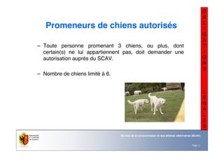 Nom du service ou
office
Département du territoire
Page 11
Service de la consommation et des affaires vétérinaires (SCAV)
O
B
L
I
G
A
T
I
O
N
S
L
E
G
A
L
E
S
Promeneurs de chiens autorisés
– Toute personne promenant 3 chiens, ou plus, dont
certain(s) ne lui appartiennent pas, doit demander une
autorisation auprès du SCAV.
– Nombre de chiens limité à 6.
 