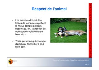 Nom du service ou
office
Département du territoire
Page 12
Service de la consommation et des affaires vétérinaires (SCAV)
O
B
L
I
G
A
T
I
O
N
S
L
E
G
A
L
E
S
Respect de l'animal
• Les animaux doivent être
traités de la manière qui tient
le mieux compte de leurs
besoins (p. ex. : attention au
transport en voiture durant
l'été, etc.).
• Toute personne qui s’occupe
d’animaux doit veiller à leur
bien-être.
 