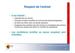 Nom du service ou
office
Département du territoire
Page 13
Service de la consommation et des affaires vétérinaires (SCAV)
O
B
L
I
G
A
T
I
O
N
S
L
E
G
A
L
E
S
Respect de l'animal
• Il est interdit :
– d’abandonner son animal;
– d'imposer de façon injustifiée aux animaux des douleurs/angoisses;
– de traiter les chiens avec une dureté excessive;
– d’organiser des combats avec des animaux ou d’employer des animaux
vivants pour dresser des chiens ou contrôler leur agressivité.
• Les mutilations (oreilles ou queue coupées) sont
interdites.
 